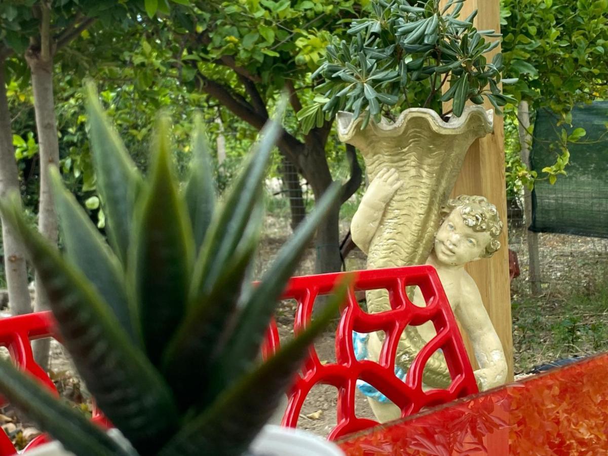 Casa Vacanze VANNUZZA Villa Noto Esterno foto