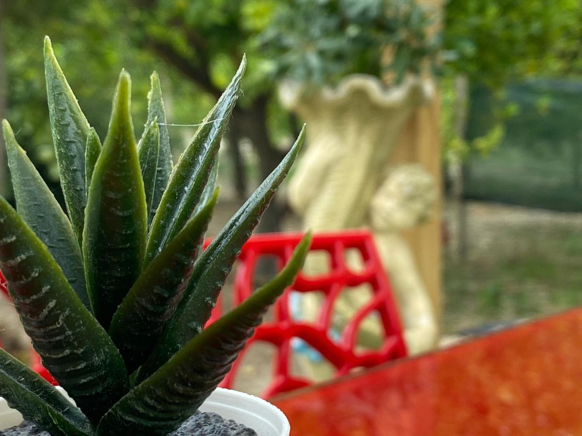 Casa Vacanze VANNUZZA Villa Noto Esterno foto