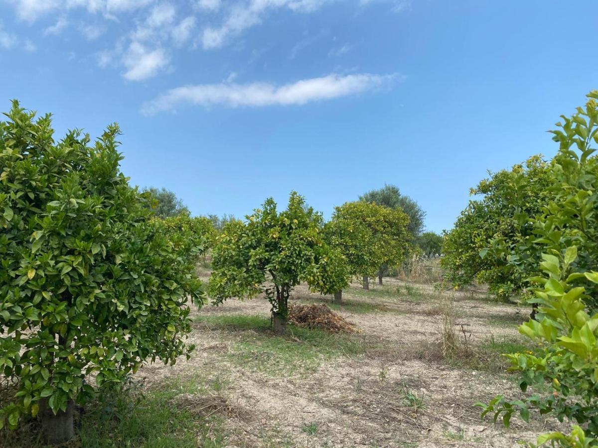 Casa Vacanze VANNUZZA Villa Noto Esterno foto